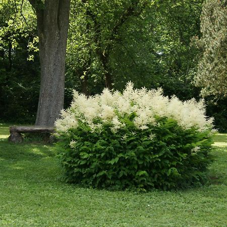 Landgasthof Em Lade Dahlem  المظهر الخارجي الصورة