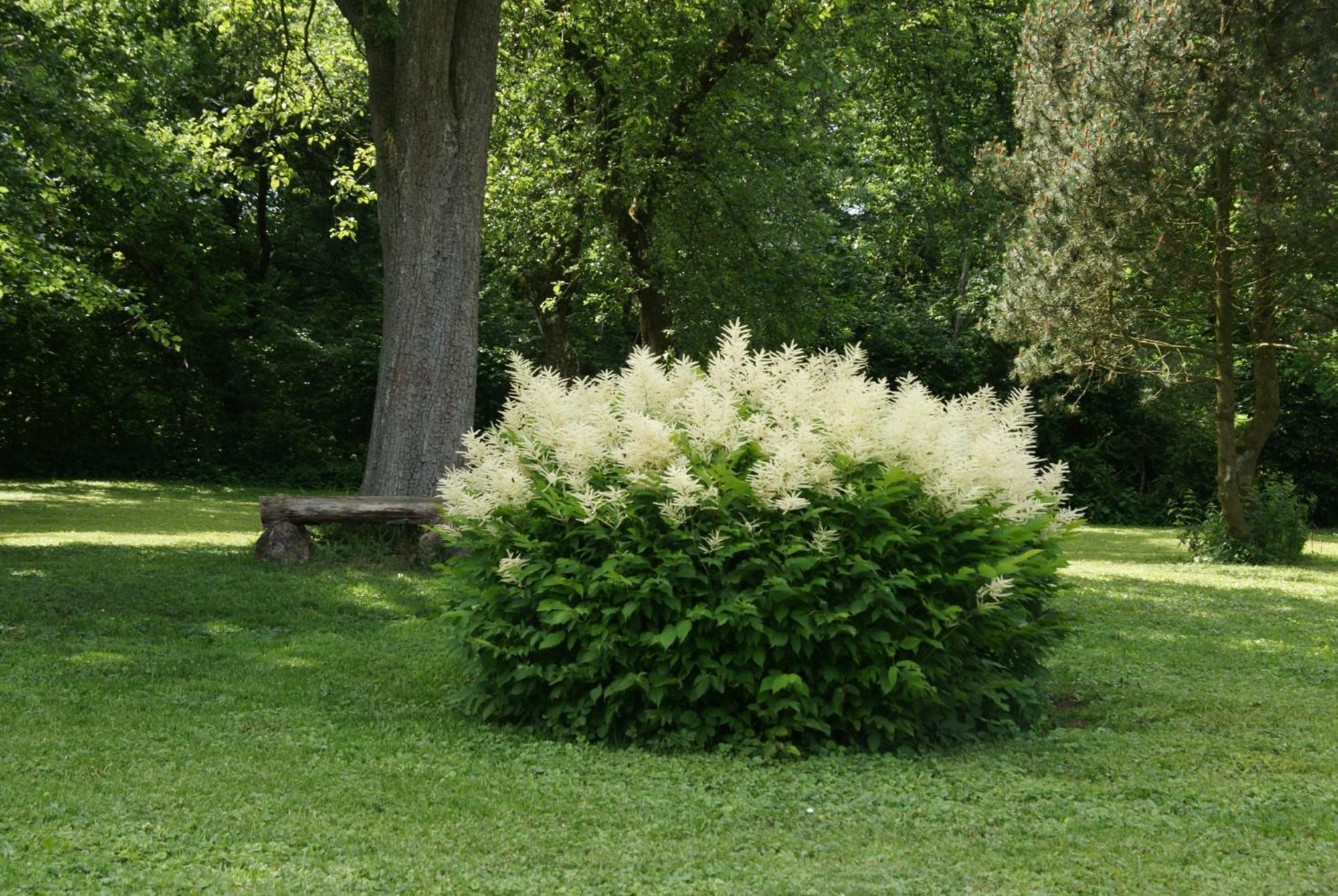 Landgasthof Em Lade Dahlem  المظهر الخارجي الصورة